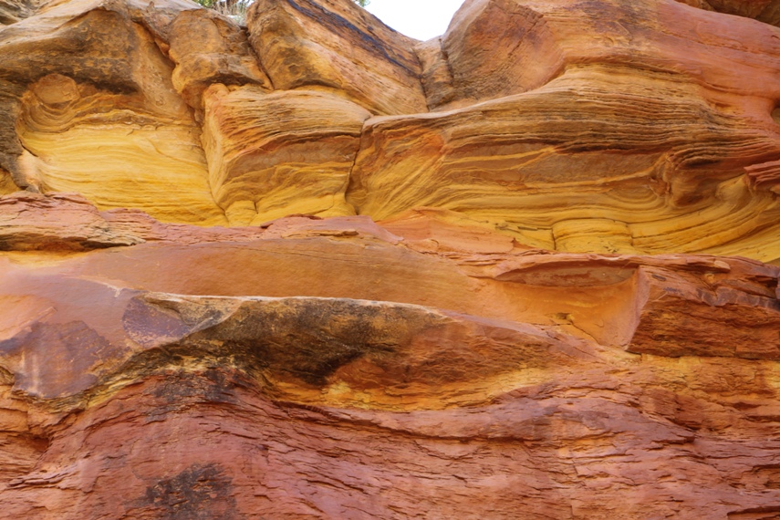 Capitol Reef National Park