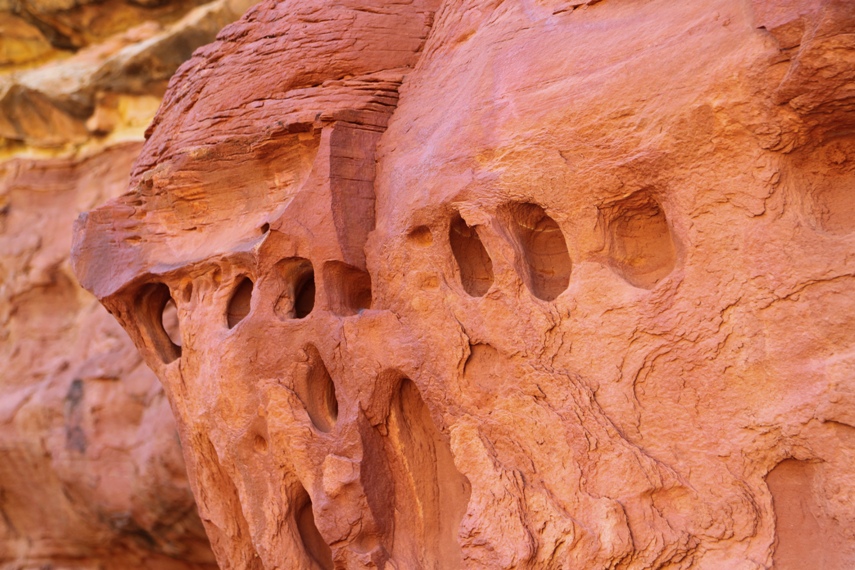 Capitol Reef National Park