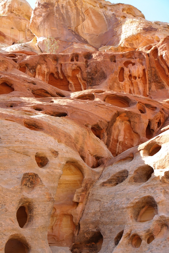Capitol Reef National Park