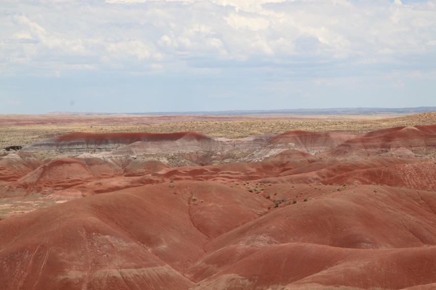 Petrified Forest National Park