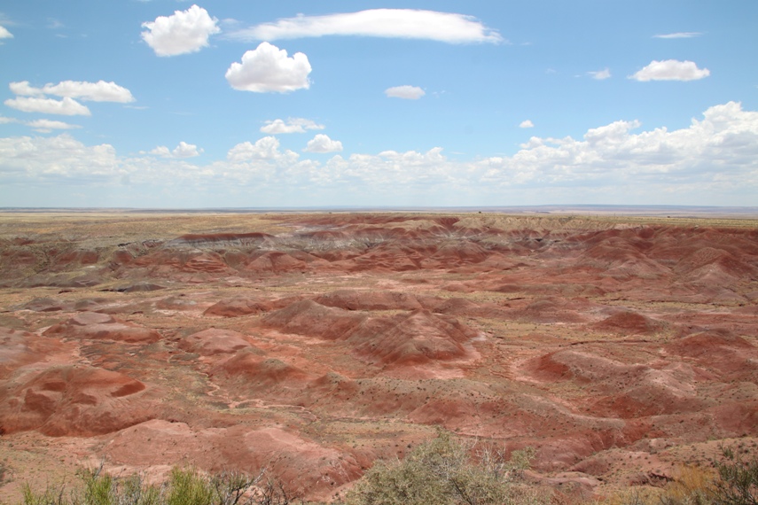 Petrified Forest National Park