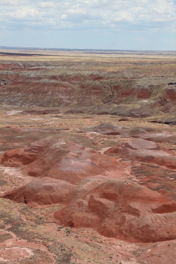 Petrified Forest National Park
