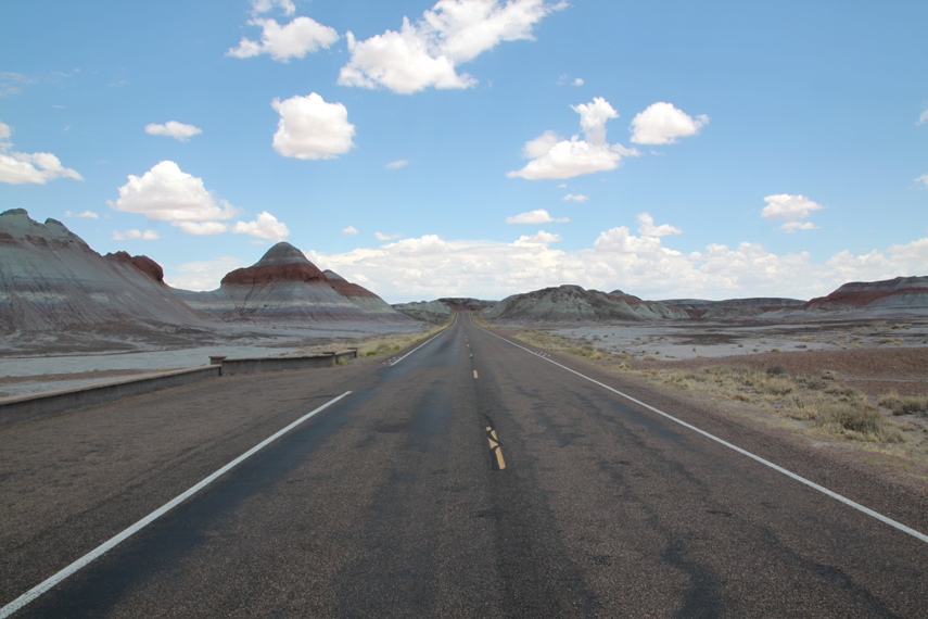 Petrified Forest National Park