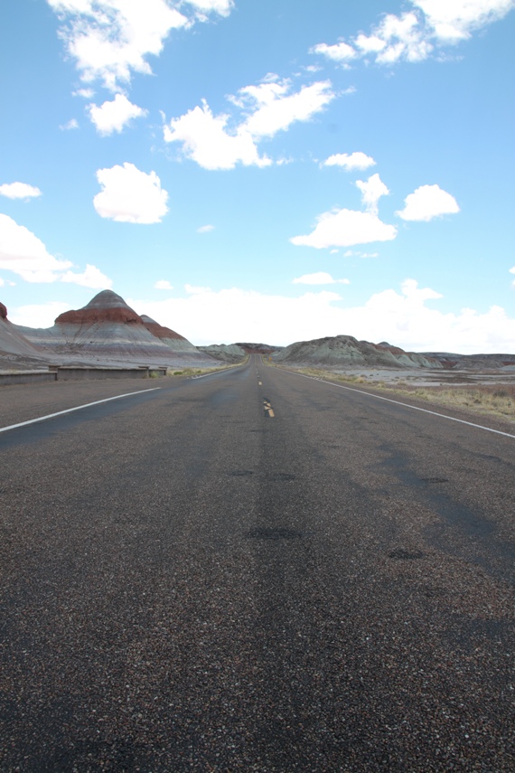 Petrified Forest National Park