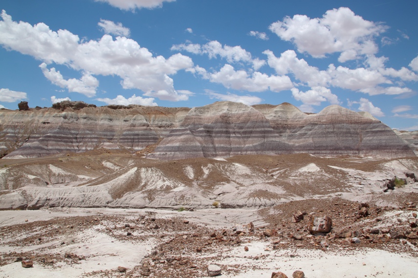 Petrified Forest National Park