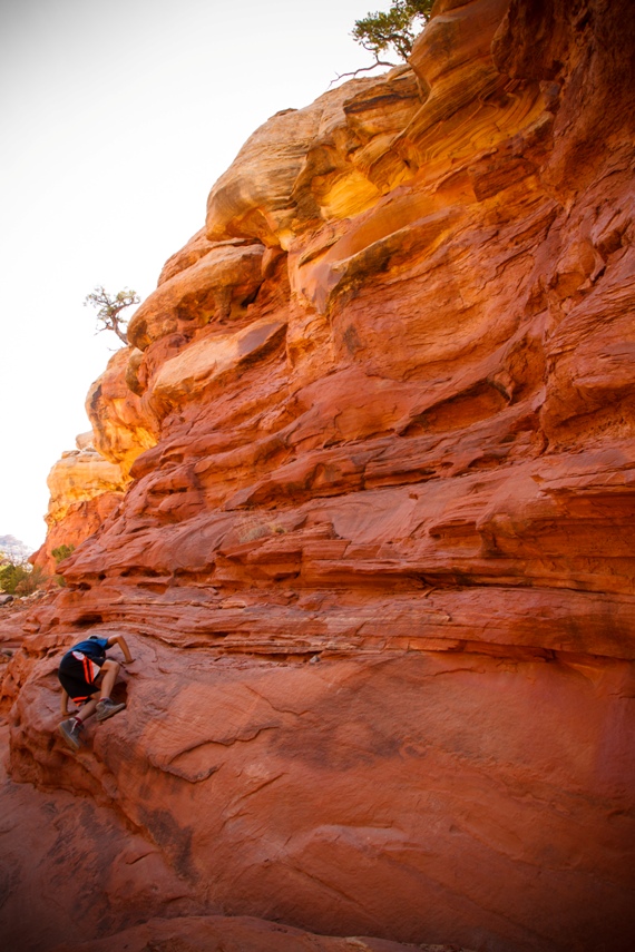 Capitol Reef National Park