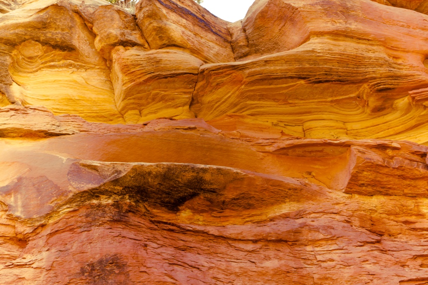 Capitol Reef National Park