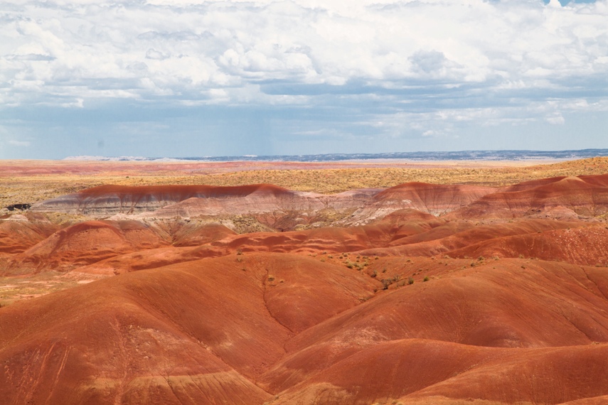 Petrified Forest National Park