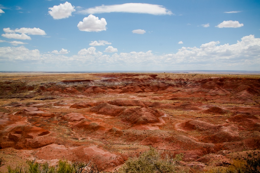 Petrified Forest National Park