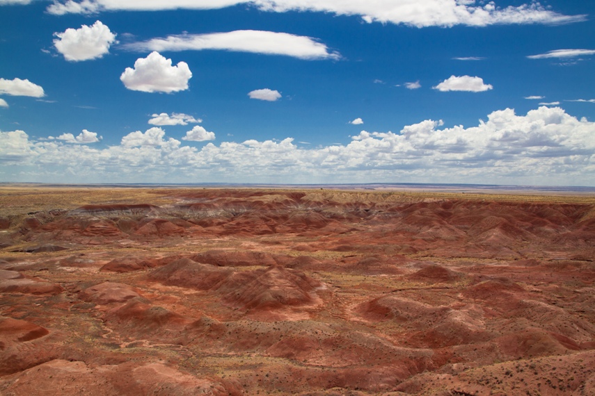 Petrified Forest National Park