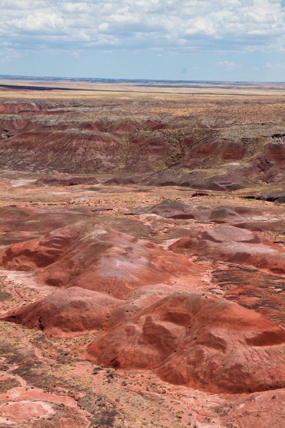 Petrified Forest National Park
