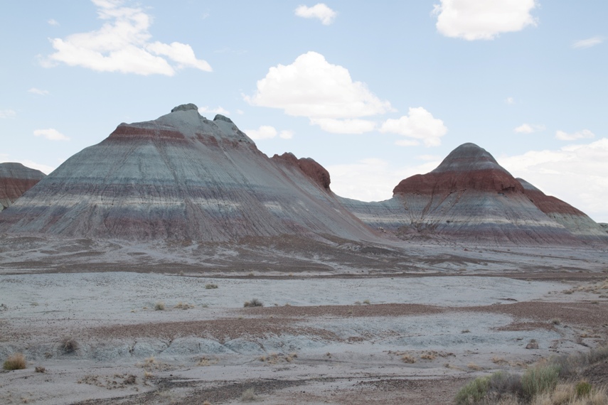 Petrified Forest National Park