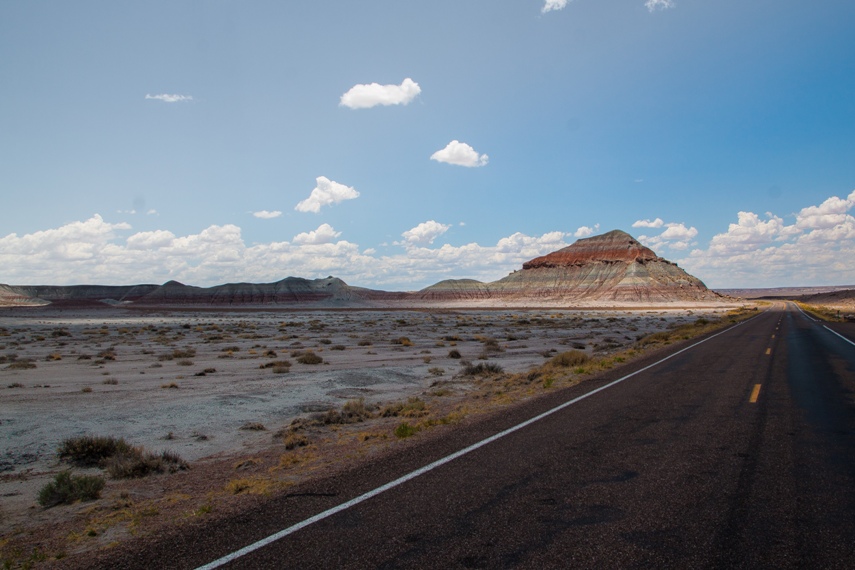 Petrified Forest National Park