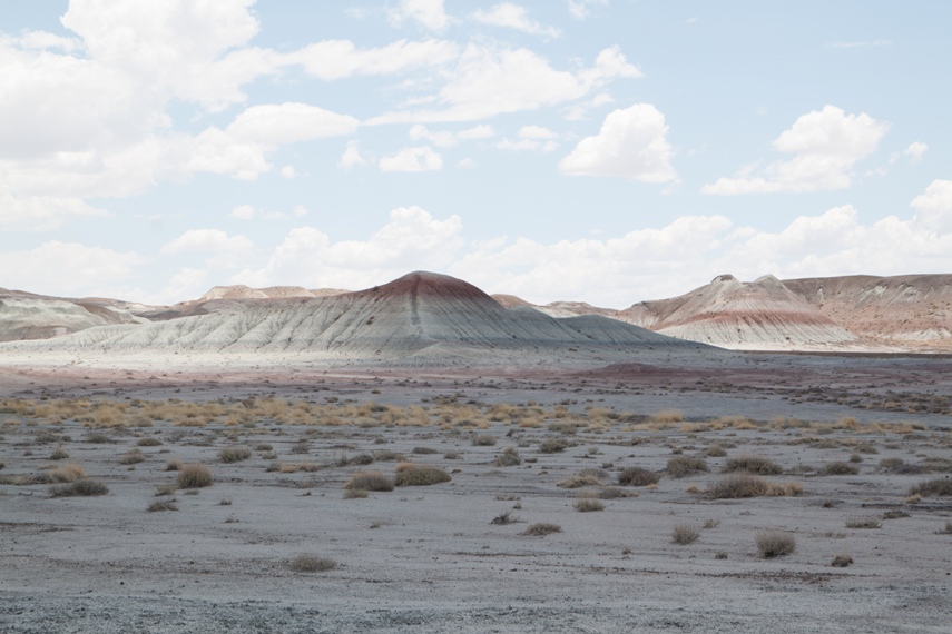 Petrified Forest National Park