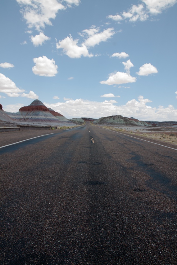 Petrified Forest National Park