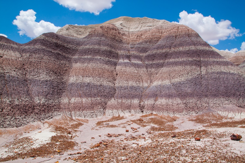 Petrified Forest National Park