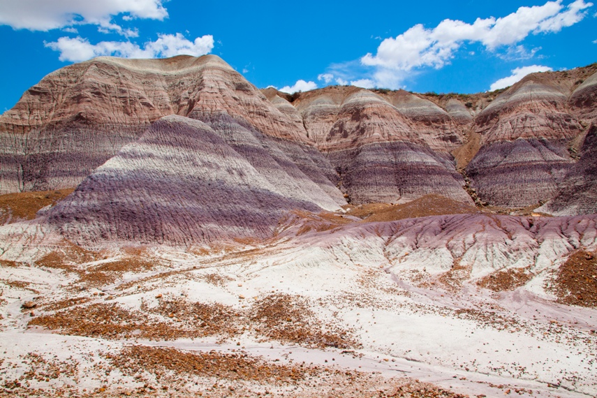 Petrified Forest National Park