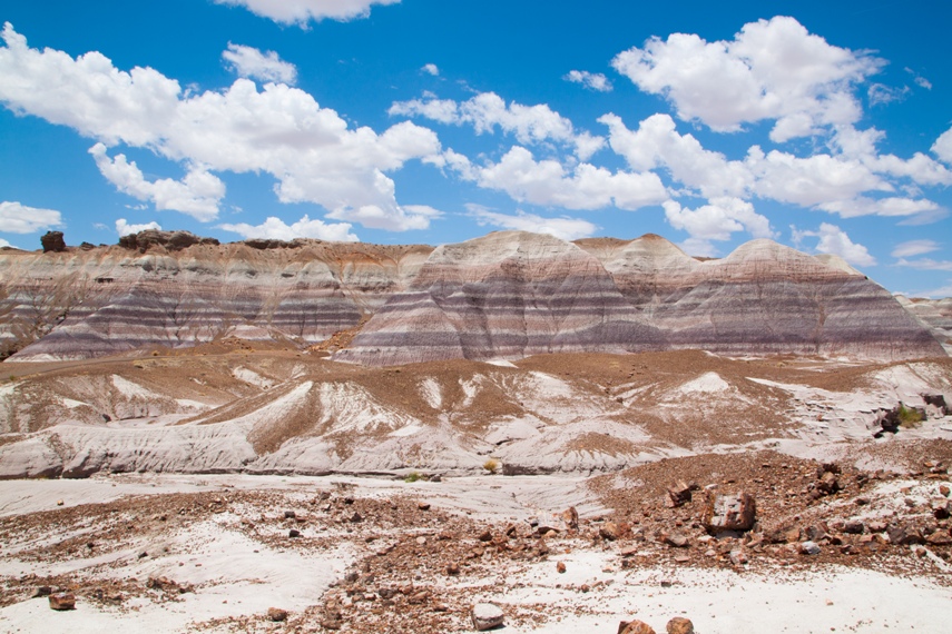 Petrified Forest National Park