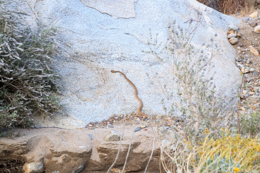 Anza Borrego Desert State Park