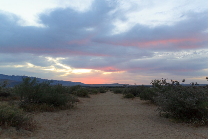 Anza Borrego Desert State Park