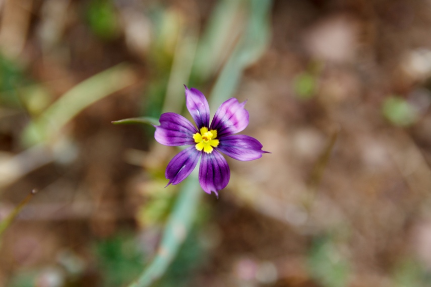 Point Mugu State Park