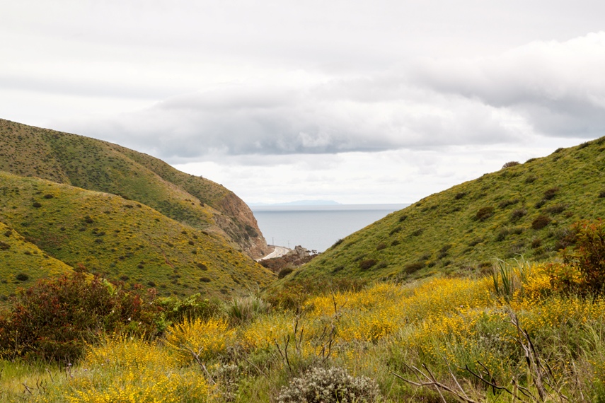 Point Mugu State Park