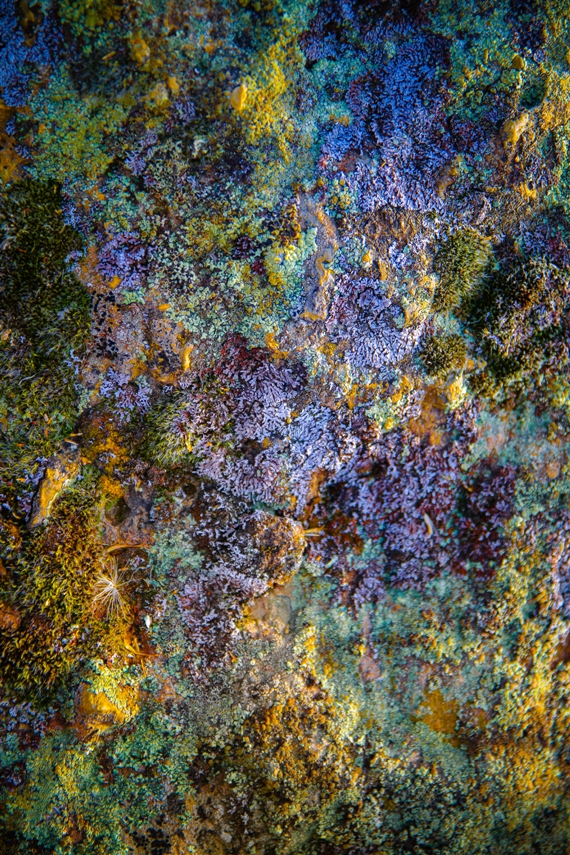 Smith Rock State Park